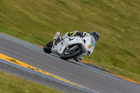PJ-Motorsport-2019;anglesey-no-limits-trackday;anglesey-photographs;anglesey-trackday-photographs;enduro-digital-images;event-digital-images;eventdigitalimages;no-limits-trackdays;peter-wileman-photography;racing-digital-images;trac-mon;trackday-digital-images;trackday-photos;ty-croes